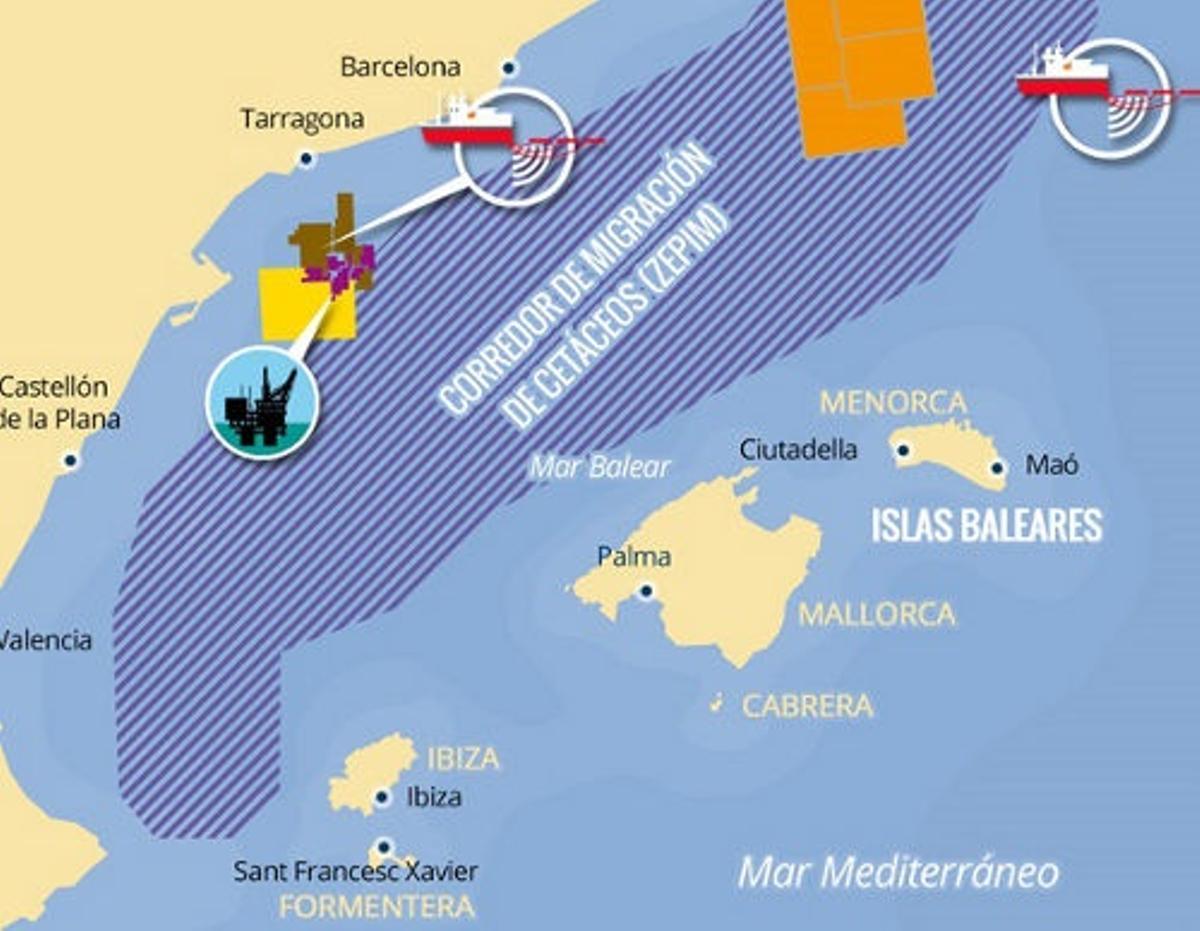 Corredor de cetáceos del Mediterráneo español