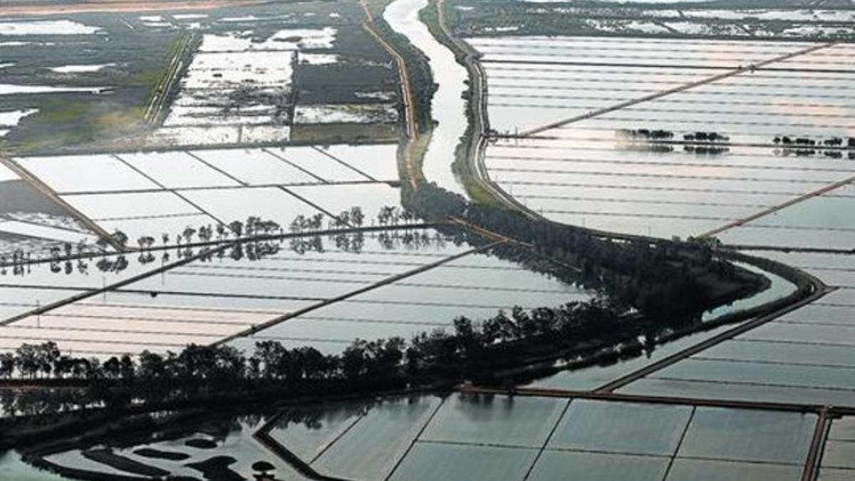 Una imagen aérea del delta del Ebro, con los arrozales inundados.