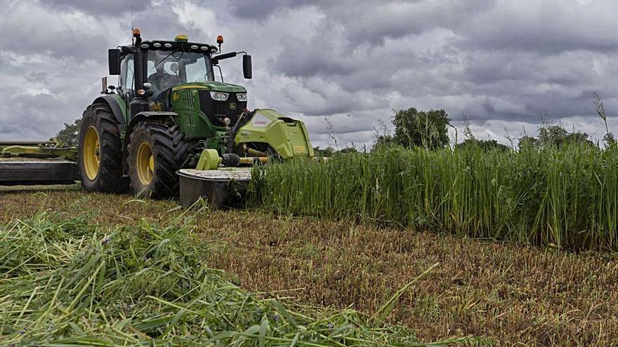 Tractor segando un campo. | José Luis Fernández