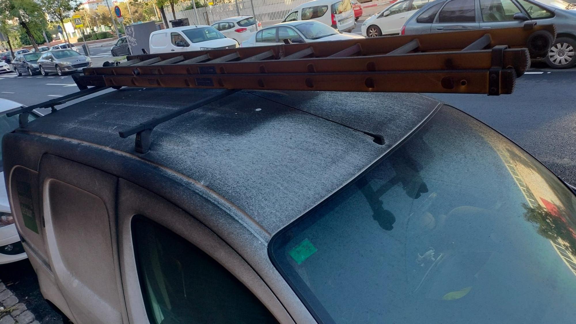 Las imágenes del incnedio en Pino Montano