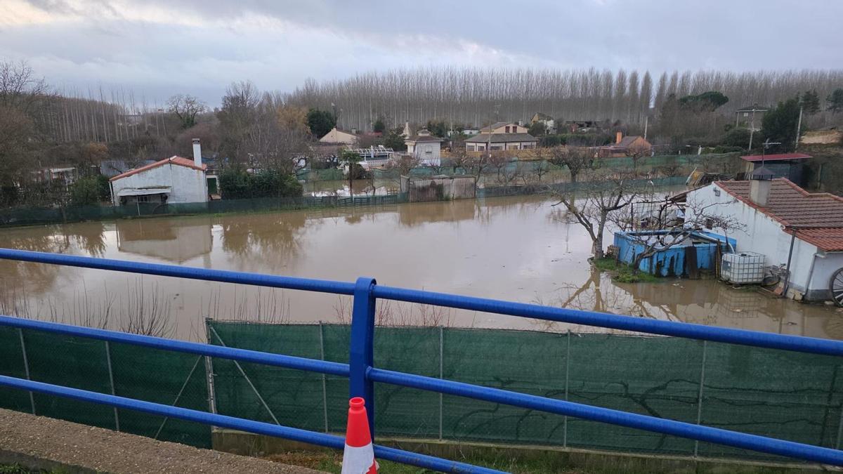 El Órbigo se desborda en Santa Cristina y llega a las puertas de Benavente.