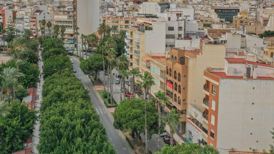 Los planes para la fachada marítima de Torrevieja: los ficus se quedan y la feria vuelve el próximo verano