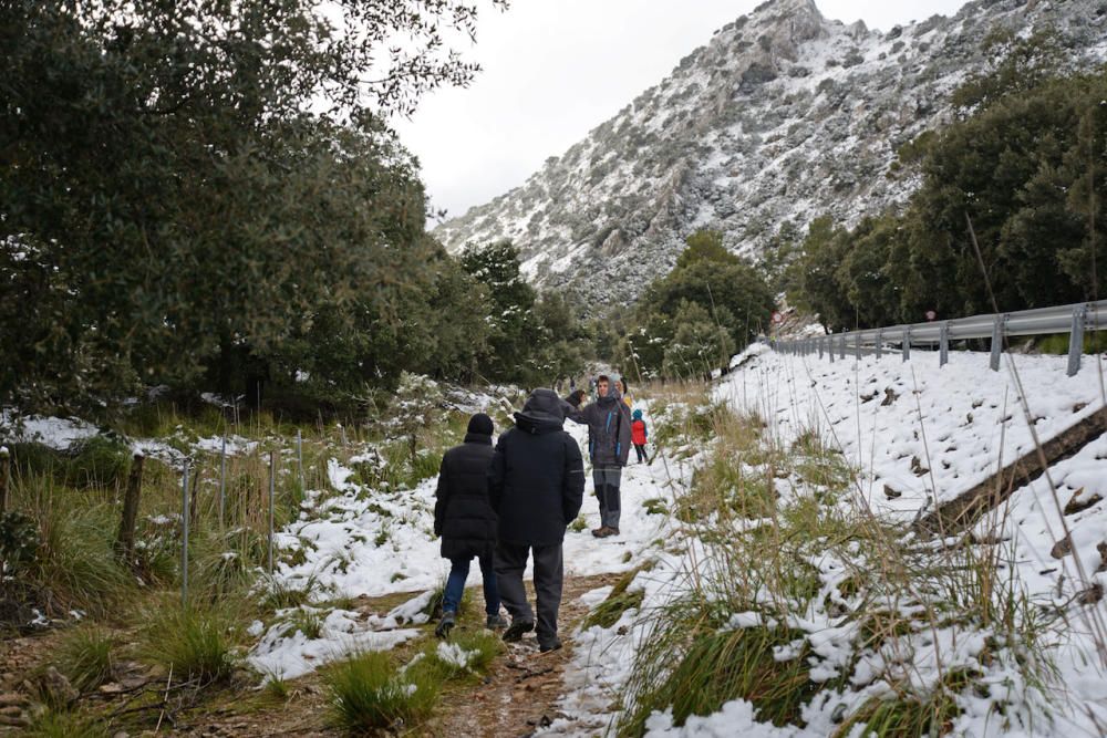Am Freitag (2.2.) hat es in den Höhenlagen von Mallorca geschneit - die weiße Pracht war am Samstag weithin sichtbar und Attraktion für kleine und große Ausflügler.