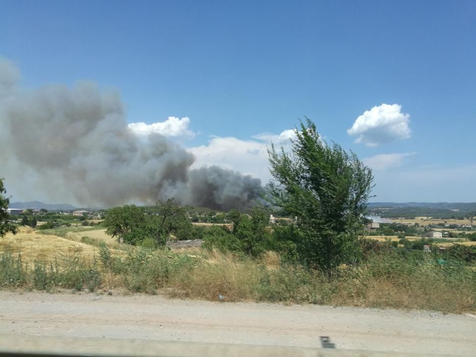 Incendi forestal a Sant Fruitós de Bages