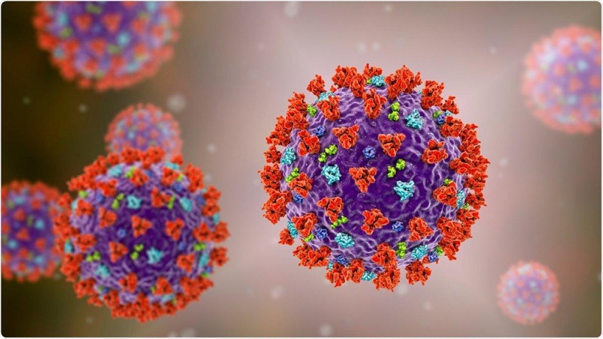 Se establece la protenina neuropilin-1 como nueva vía para el contagio del coronavirus