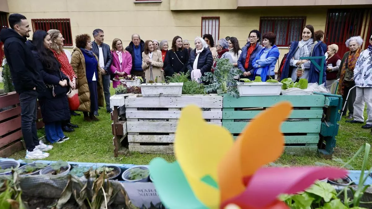 La zona oeste de Gijón estrena un nuevo huerto urbano (vídeo)