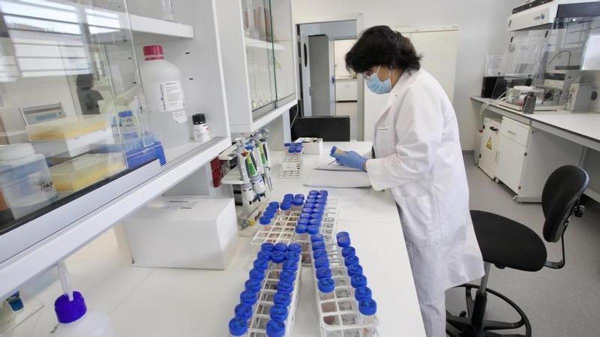 El trabajo, publicado en la revista científica Cell Death &amp; Disease, aporta nuevas claves sobre la interacción entre patógenos bacterianos y la respuesta inmune del hospedador.