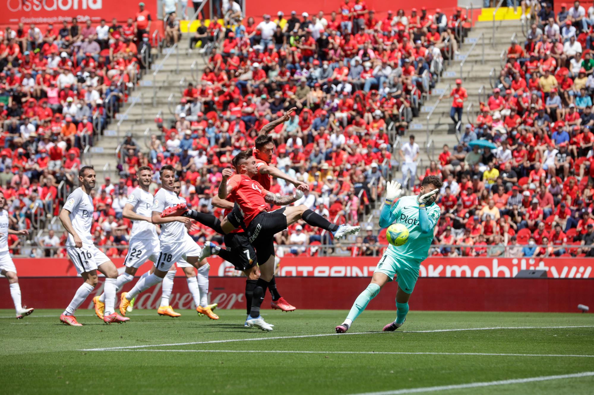 Real Mallorca - Granada