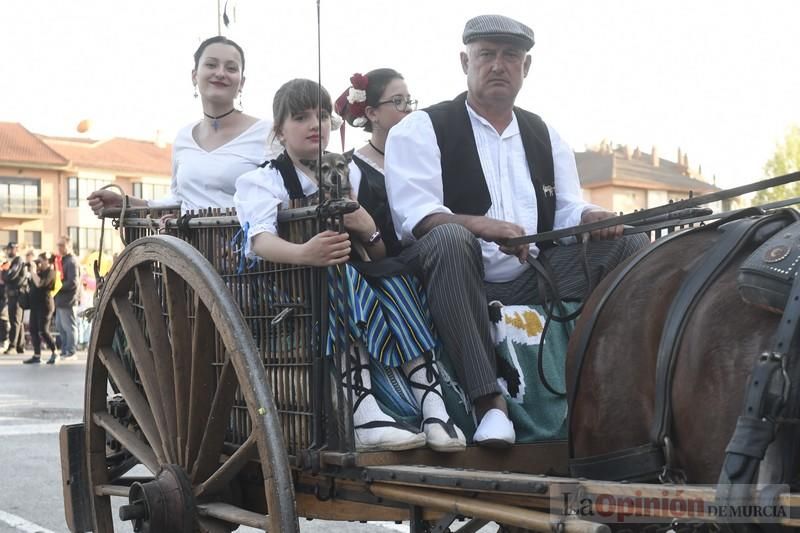 Desfile del Bando de la Huerta (II)