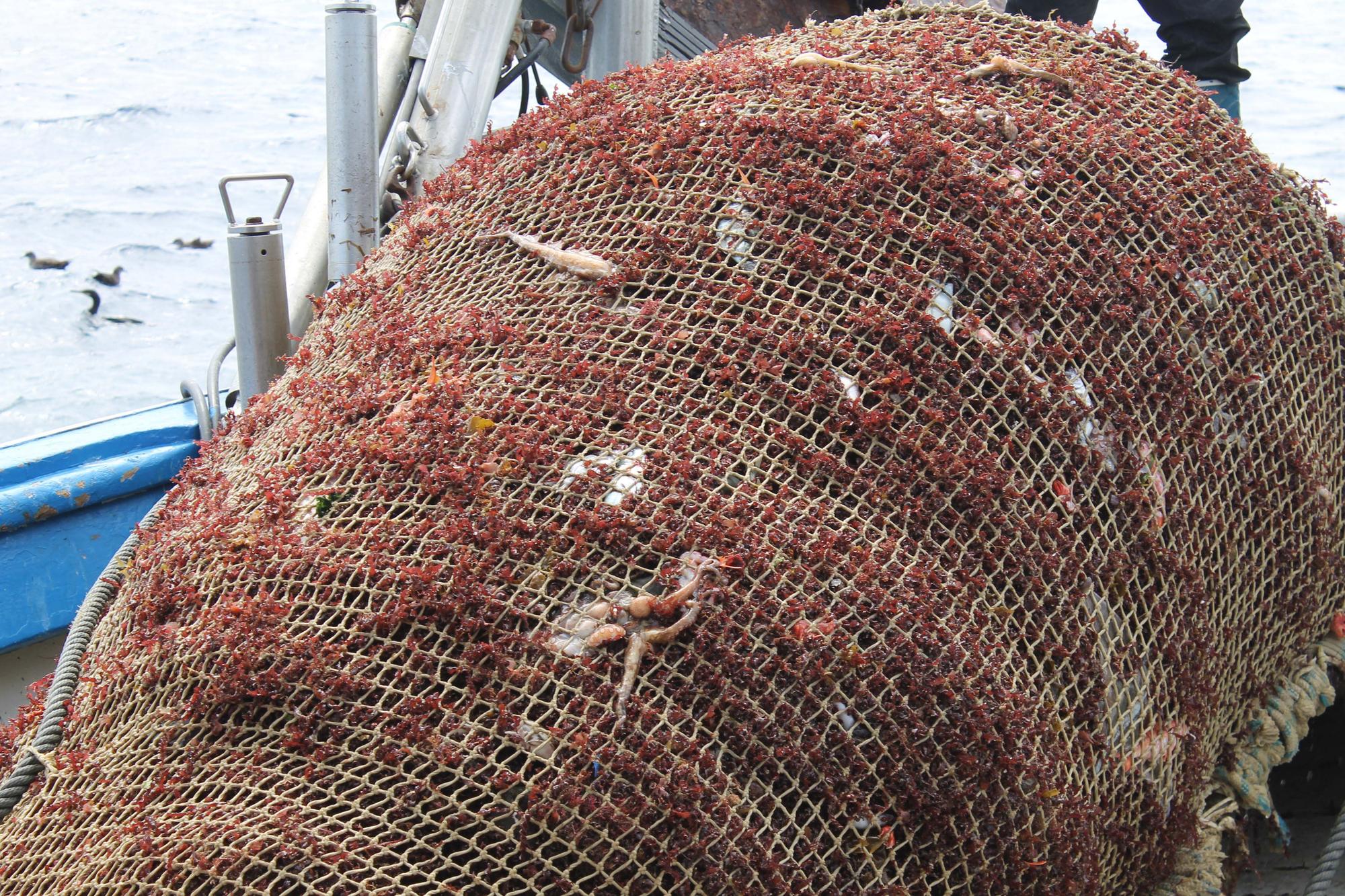 A bordo del ‘Charpat Segundo’, uno de los arrastreros convocados a la huelga contra la «criminalización» de la pesca y las medidas de la UE