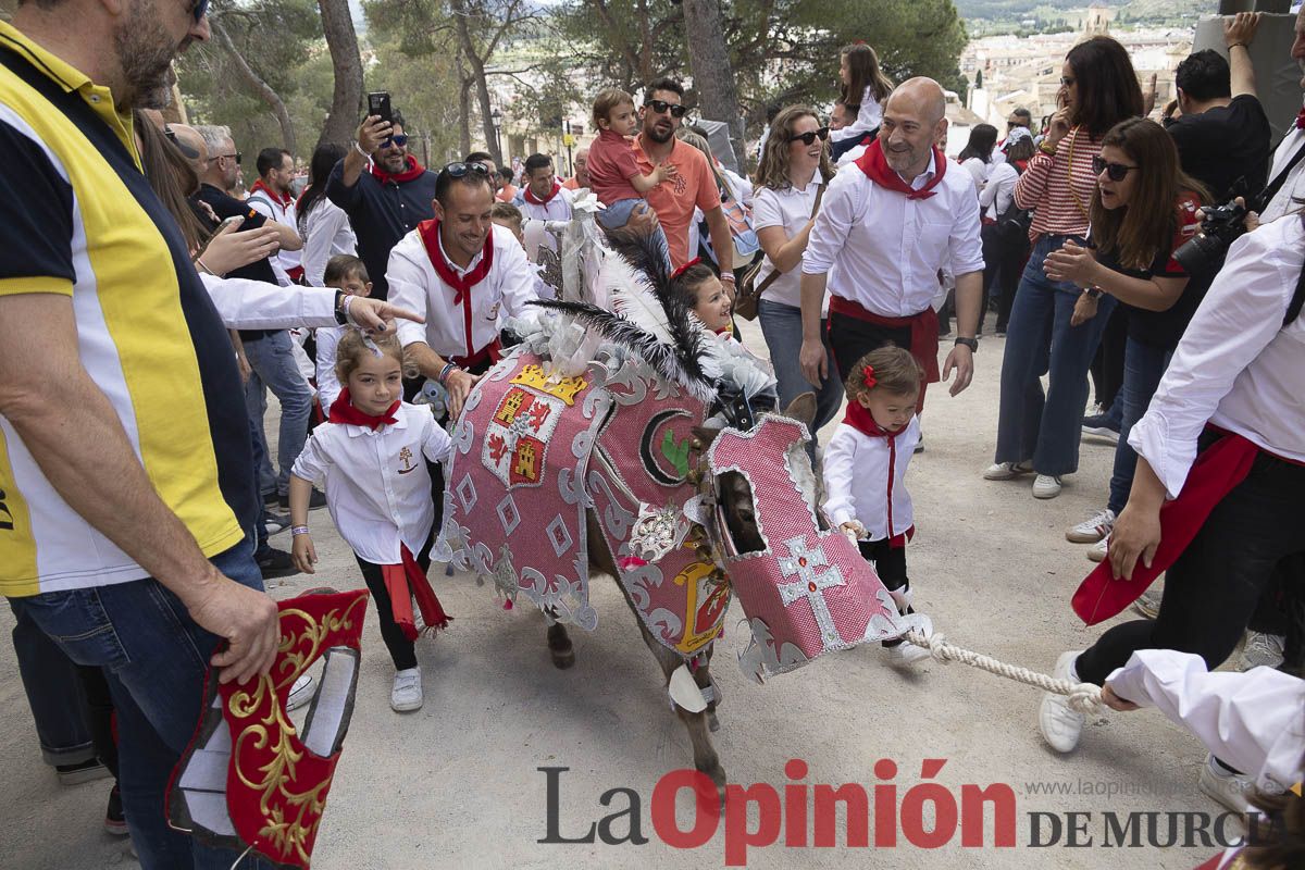 Fiestas de Caravaca | Desfile infantil del Bando de los Caballos del Vino
