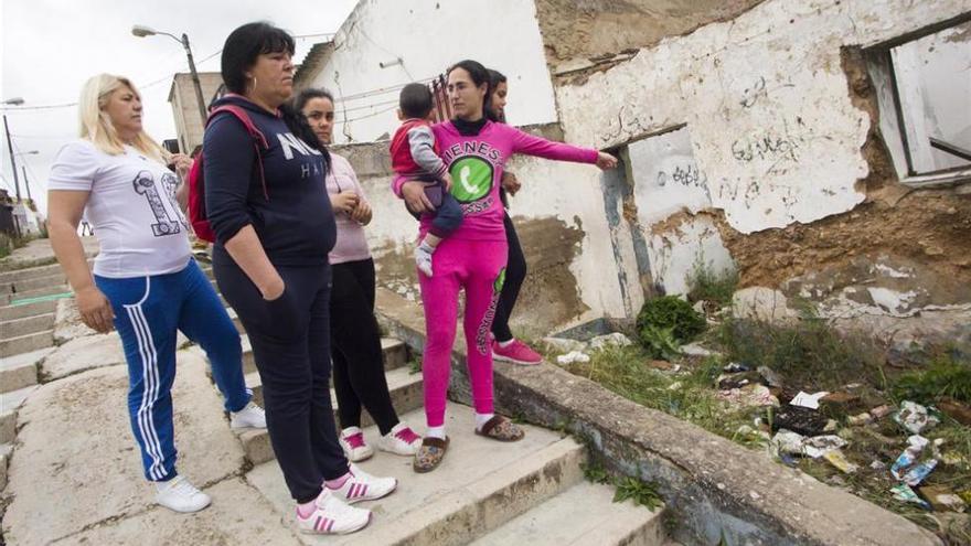 Vecinos de Cerro de Reyes en Badajoz denuncian que viven asediados por las garrapatas