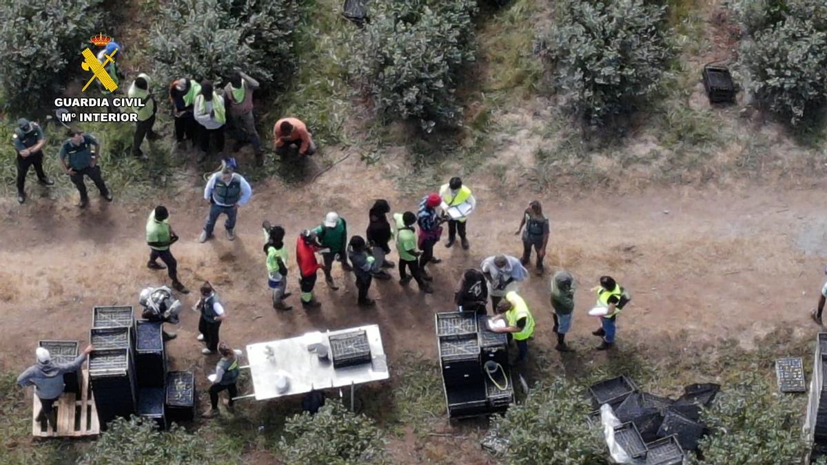 La Guardia Civil interviene en la explotación de Baamonde donde se explotaba a migrantes