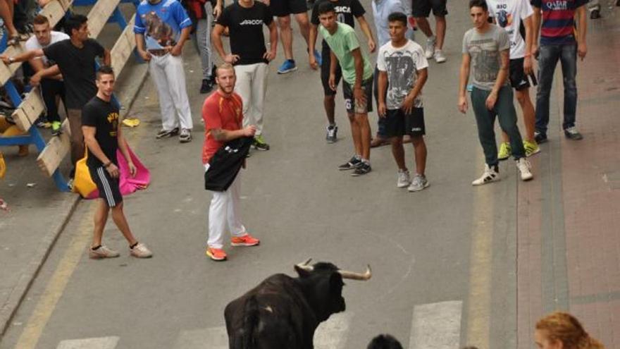 Un herido en el encierro de vaquillas que cierra las Fiestas de Abarán