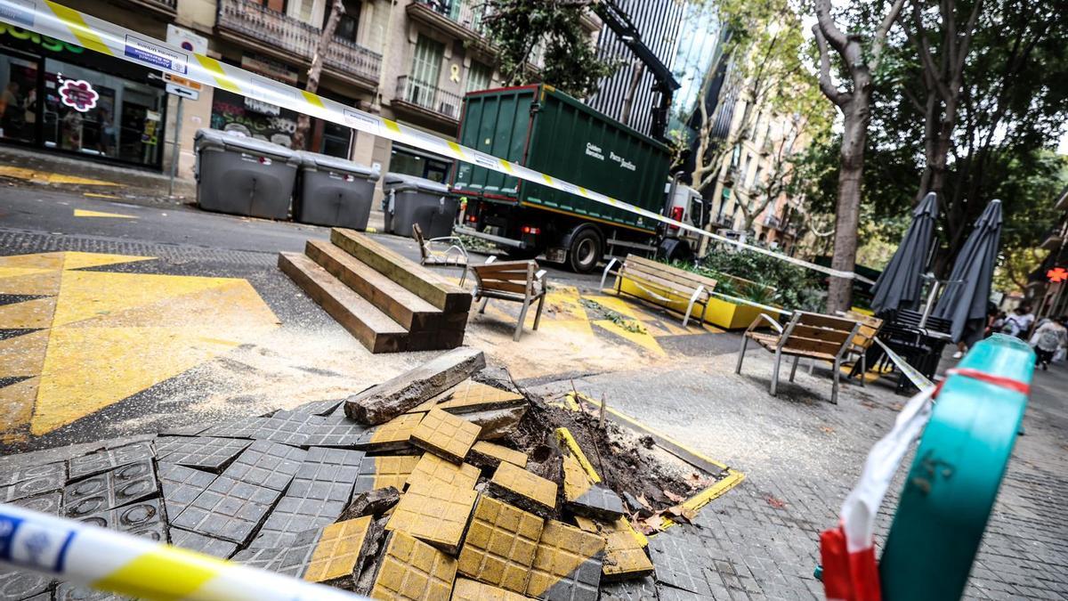 Cae otro árbol en Barcelona: esta vez en la Superilla de Sant Antoni
