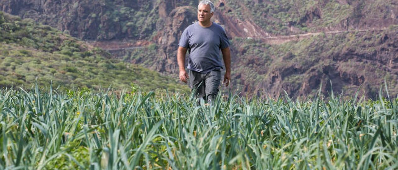 Juan Manuel Hernández en su finca ecológica de El Hormiguero, en Guía.