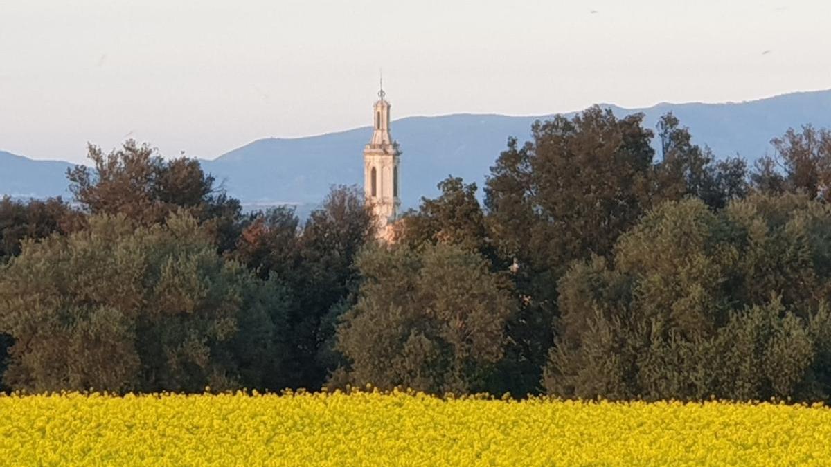 Un camp de colza amb el poble de Borrassà al fons.