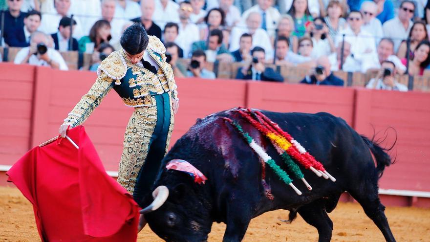 Pablo Aguado. / Foto: Arjona - Pagés