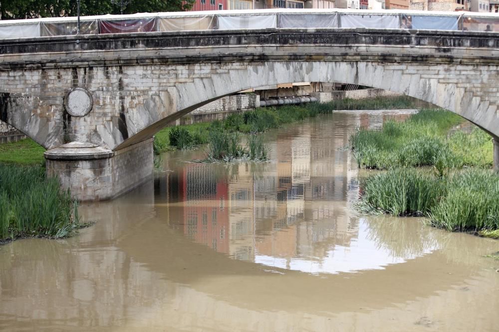 Temporal de maig a Girona per Temps de Flors