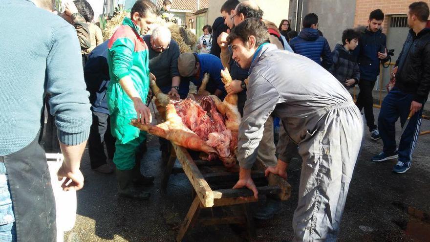 Matanza del cerdo en Tierra del Vino