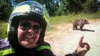 Muere un turista tras hacerse un selfi con una osa parda: "Viene hacia mí"