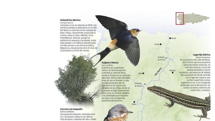 El valle donde Asturias se asoma al mundo mediterráneo