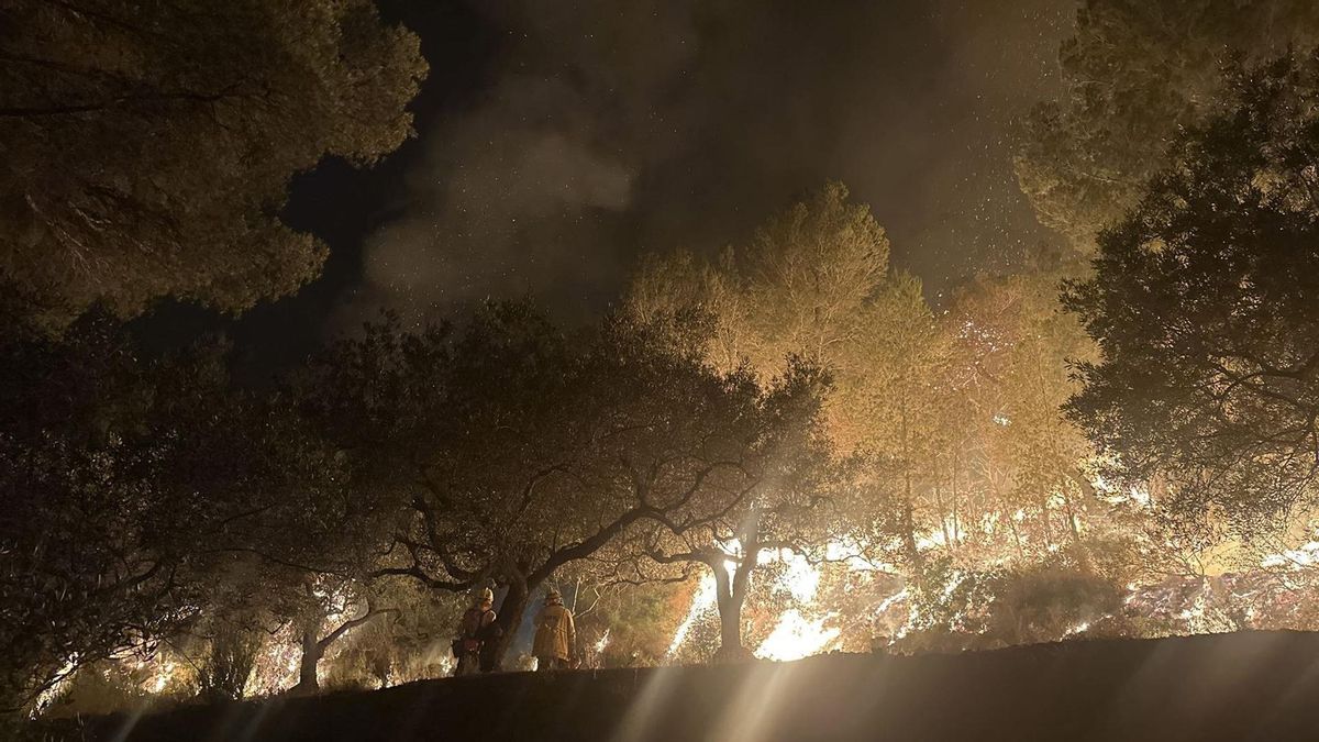 . El incendio en Paüls (Tarragona) sigue activo este miércoles por la mañana y se mantiene el confinamiento hasta esta tarde en los municipios de Paüls, Alfara de Carles, Xerta, Aldover, Tivenys, Prat de Comte y Pinell de Brai, además de los barrios de los Reguers, Bítem y Jesus de Tortosa . El incendio en Paüls (Tarragona) sigue activo este miércoles por la mañana y se mantiene el confinamiento hasta esta tarde en los municipios de Paüls, Alfara de Carles, Xerta, Aldover, Tivenys, Prat de Comte y Pinell de Brai, además de los barrios de los Reguers, Bítem y Jesus de Tortosa
