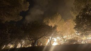 . El incendio en Paüls (Tarragona) sigue activo este miércoles por la mañana y se mantiene el confinamiento hasta esta tarde en los municipios de Paüls, Alfara de Carles, Xerta, Aldover, Tivenys, Prat de Comte y Pinell de Brai, además de los barrios de los Reguers, Bítem y Jesus de Tortosa