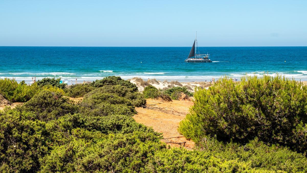 La playa más extensa de Cádiz: conserva un pasado decisivo y Bandera Azul desde hace décadas.