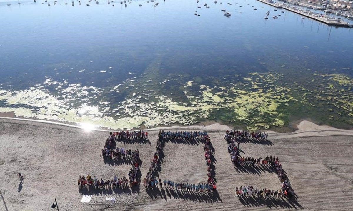 Objetivo, salvar el Mar Menor: la mayor laguna salada de Europa agoniza