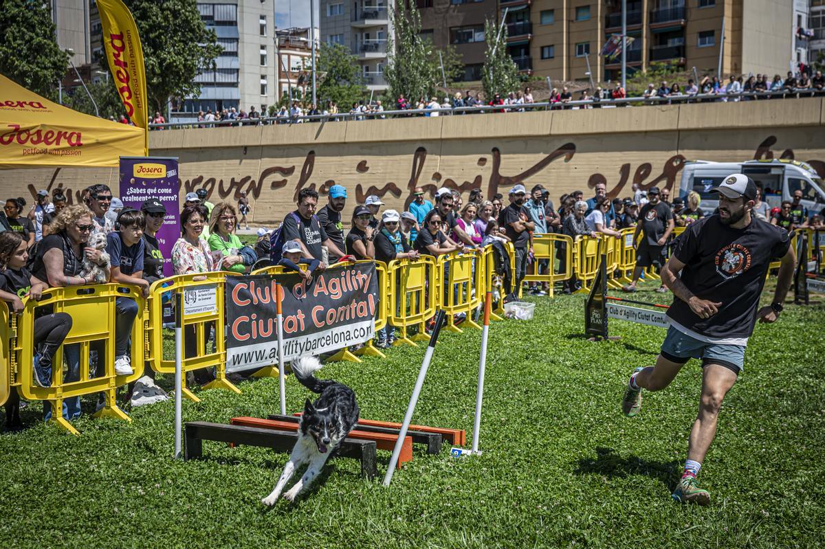 CAN WE RUN BARCELONA. La carrera organizada por Prensa Ibérica y El Periódico de Catalunya con la colaboración de Sport ,  donde las personas y sus mascotas perrunas corren en familia