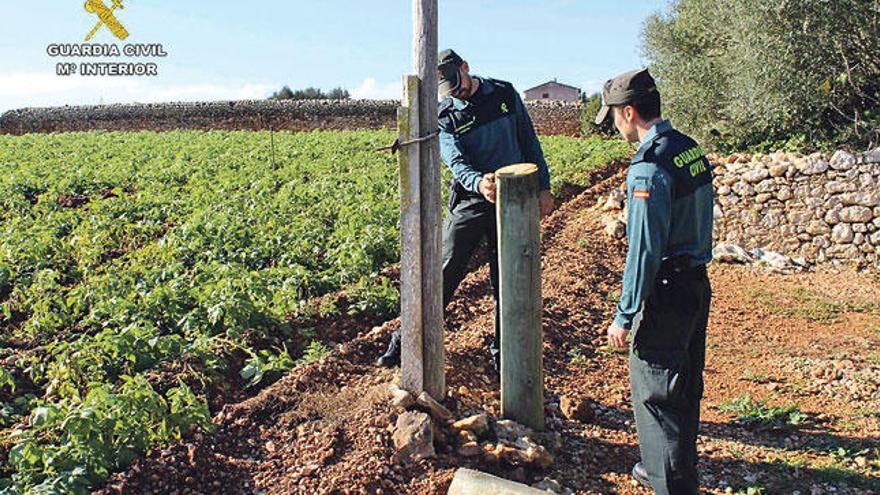 Agentes del Equipo Roca de la Guardia Civil examinan los postes eléctricos talados de las fincas.