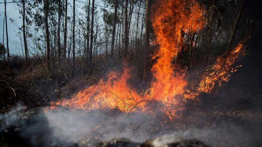 Cerca de 200 incendios han asolado Cantabria en los últimos días