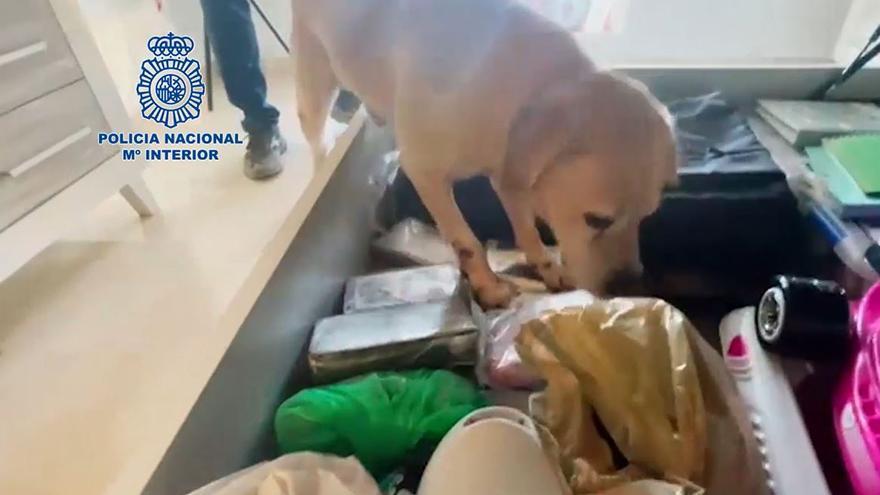 La Policía desarticula en Málaga y Madrid una organización criminal dedicada al tráfico de cocaína rosa