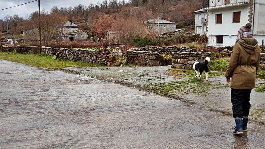 Una vecina pasea con su perro por una calle inundada en Porto. | Araceli Saavedra