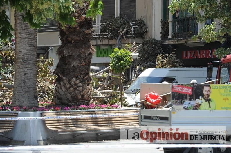 Cae parte del ficus de Santo Domingo en Murcia