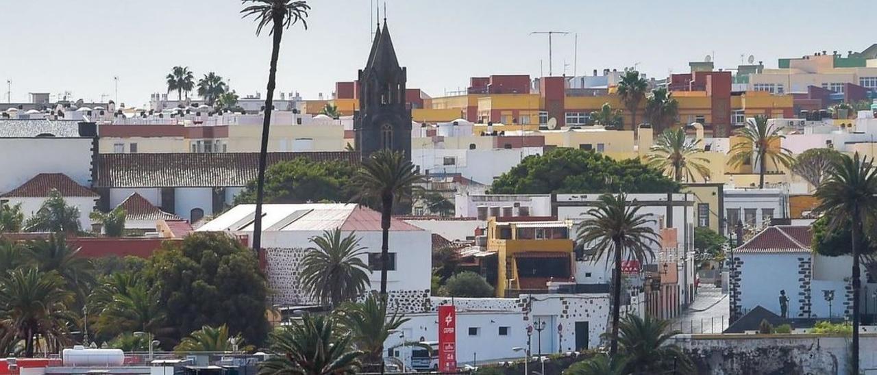 Vistas de San Juan y palmera de la Casa Condal en Telde.