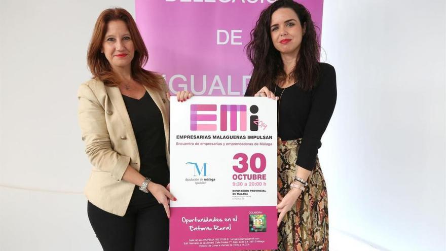 Presentación de las jornadas EMI en la Diputación de Málaga.