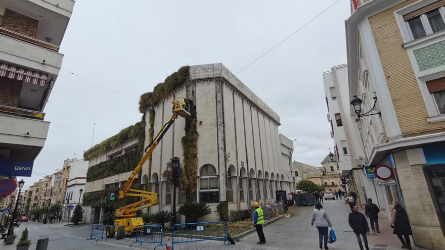 La eliminación del jardín vertical del Ayuntamiento de Lucena concluirá en las próximas semanas
