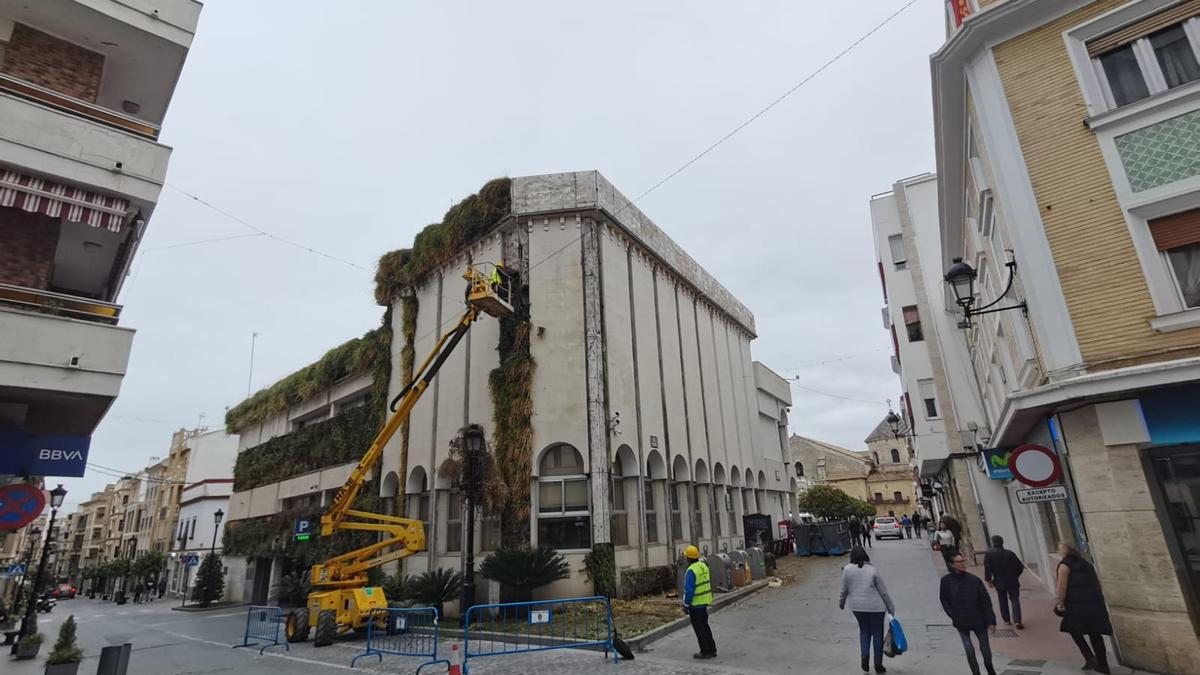 Primeros trabajos de eliminación del jardín vertical del Ayuntamiento de Lucena.