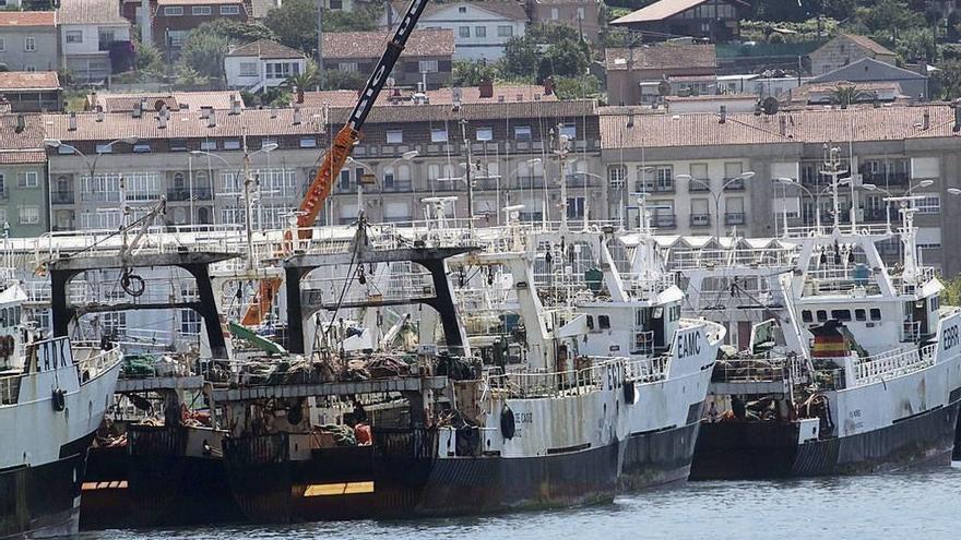 Barcos pesqueros en Marín. // S.A.