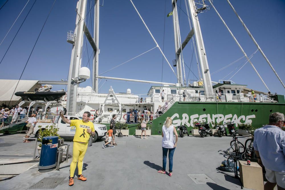 Greenpeace Mallorca Rainbow Warrior