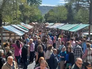 Grado a reventar: miles de personas en la Primera Flor, el Mercadón y el Certamen de la Faba