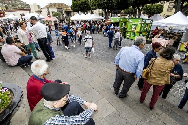 FIESTA DEL QUESO EN SANTA MARIA DE GUIA