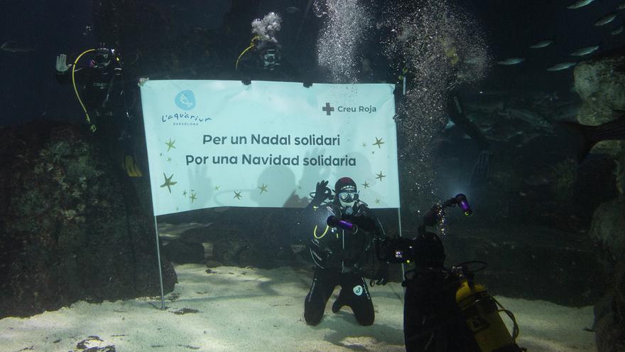 El chef Jordi Cruz se sumerge entre tiburones en L' Aquàrium de Barcelona por una causa solidaria