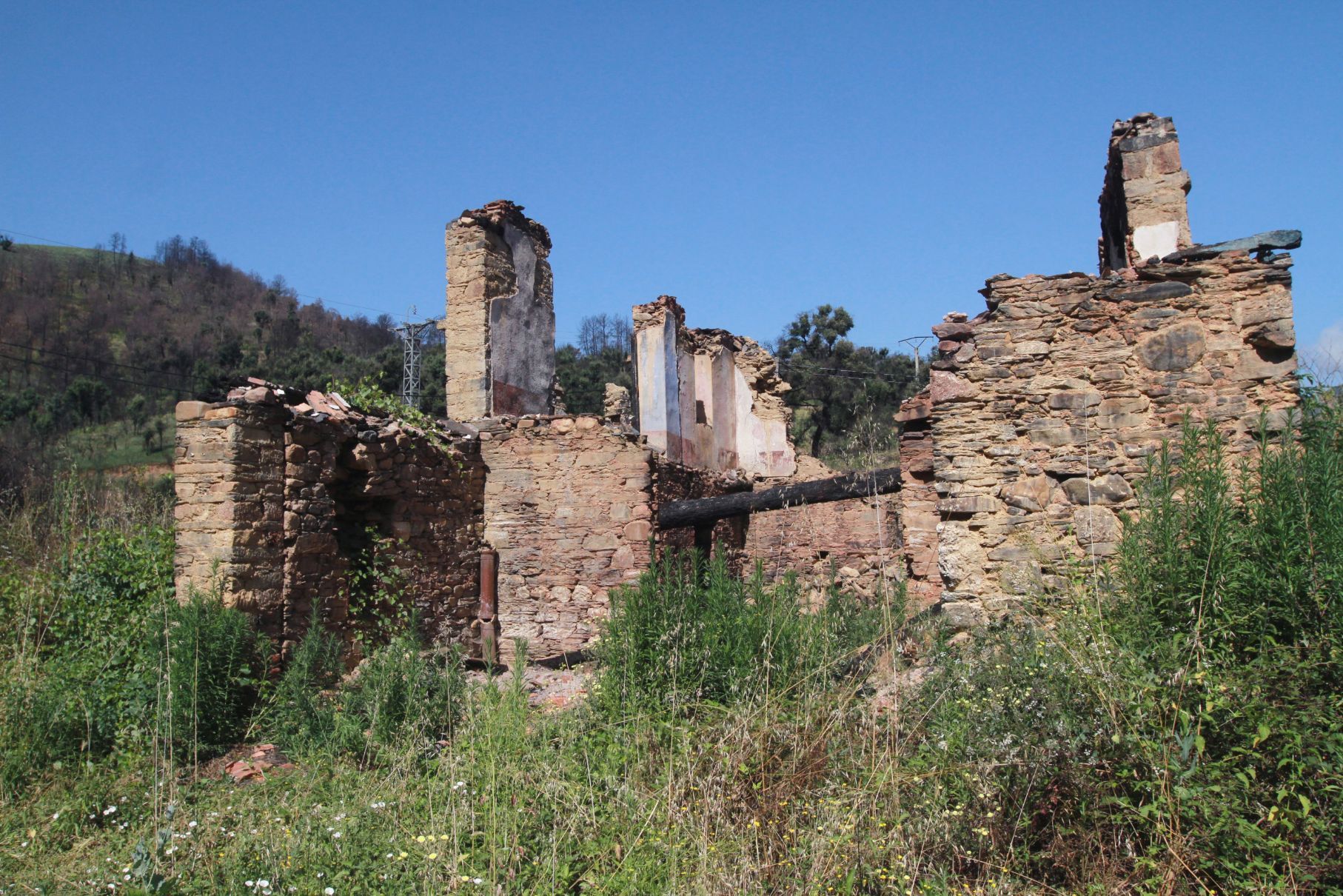 Otra de las ruinas del incendio en la que se empiezan a ver brotes verdes