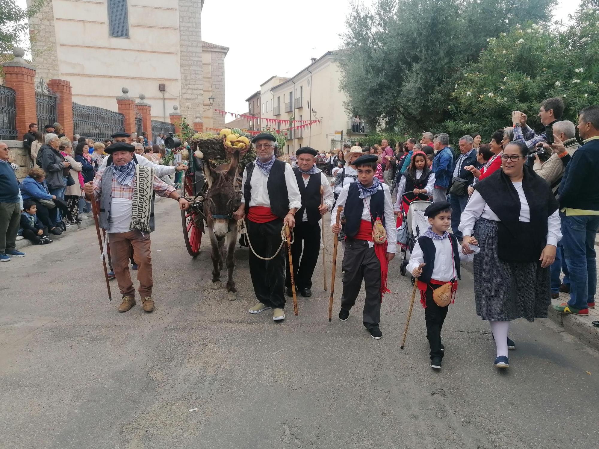 GALERÍA | Toro recrea la vendimia tradicional en el desfile de carros