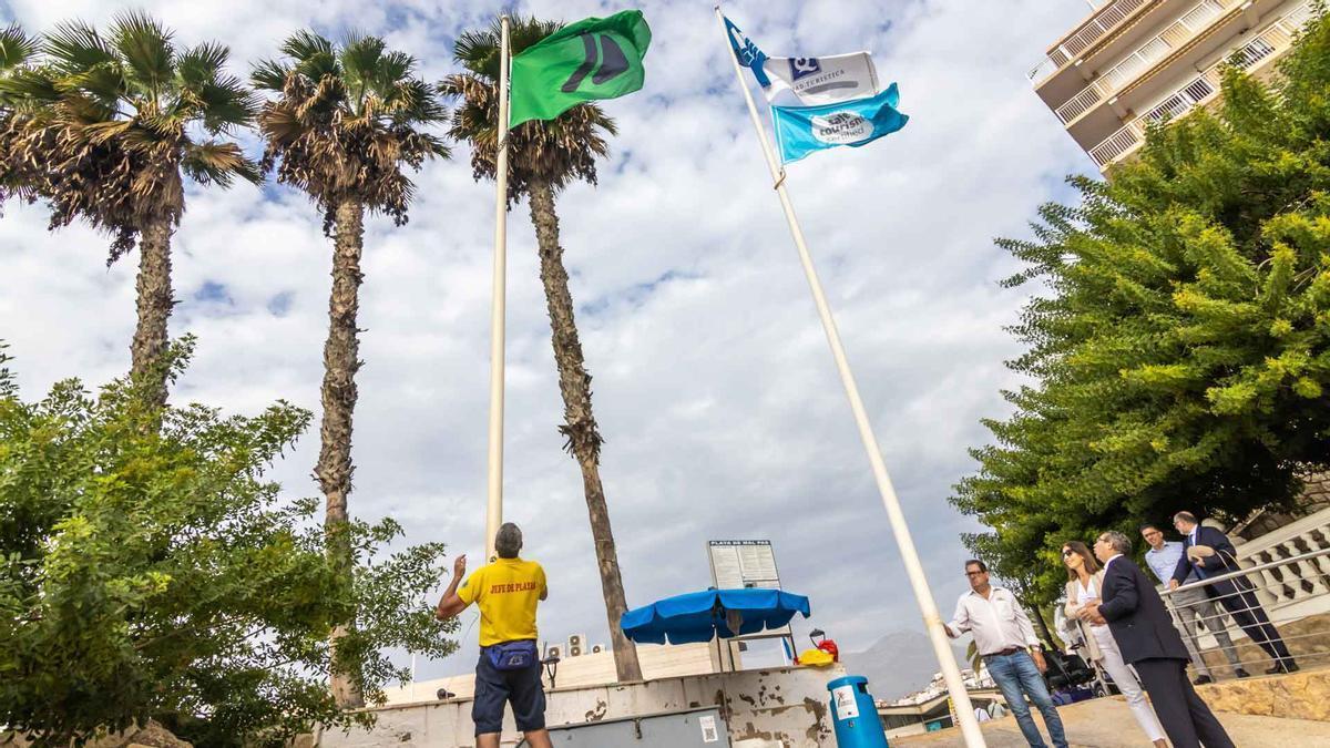 Las nuevas banderas de las playas de Benidorm.