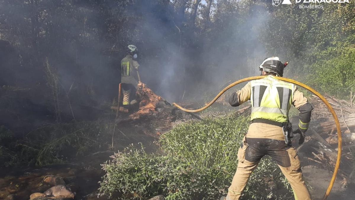 Bomberos de la DPZ sofocando las llamas.