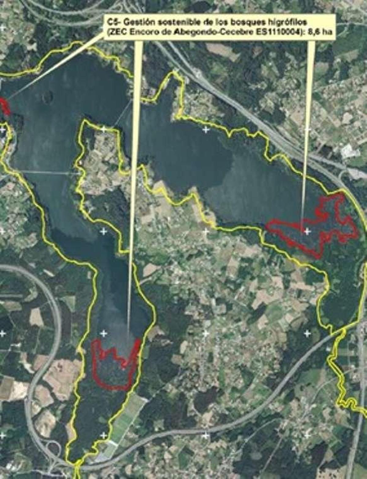 La reserva eliminará dos rellenos ejecutados hace décadas en las marismas de Betanzos